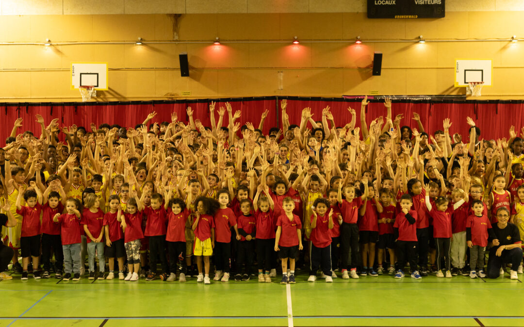 Le bilan de nos équipes à la trêve