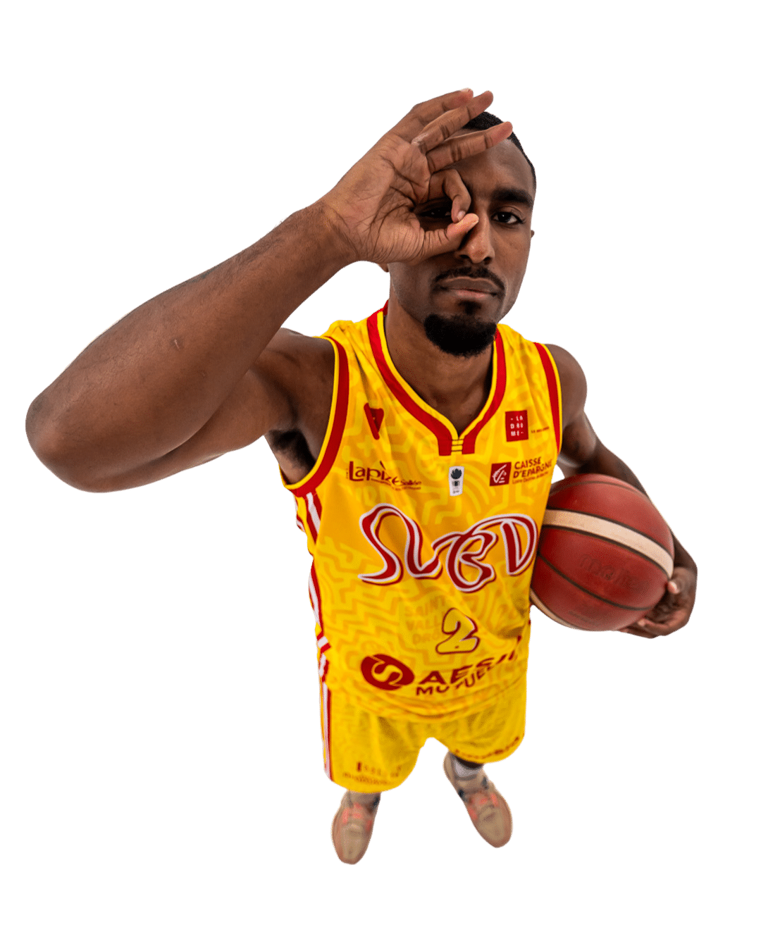 SVBD - Watt Demont
